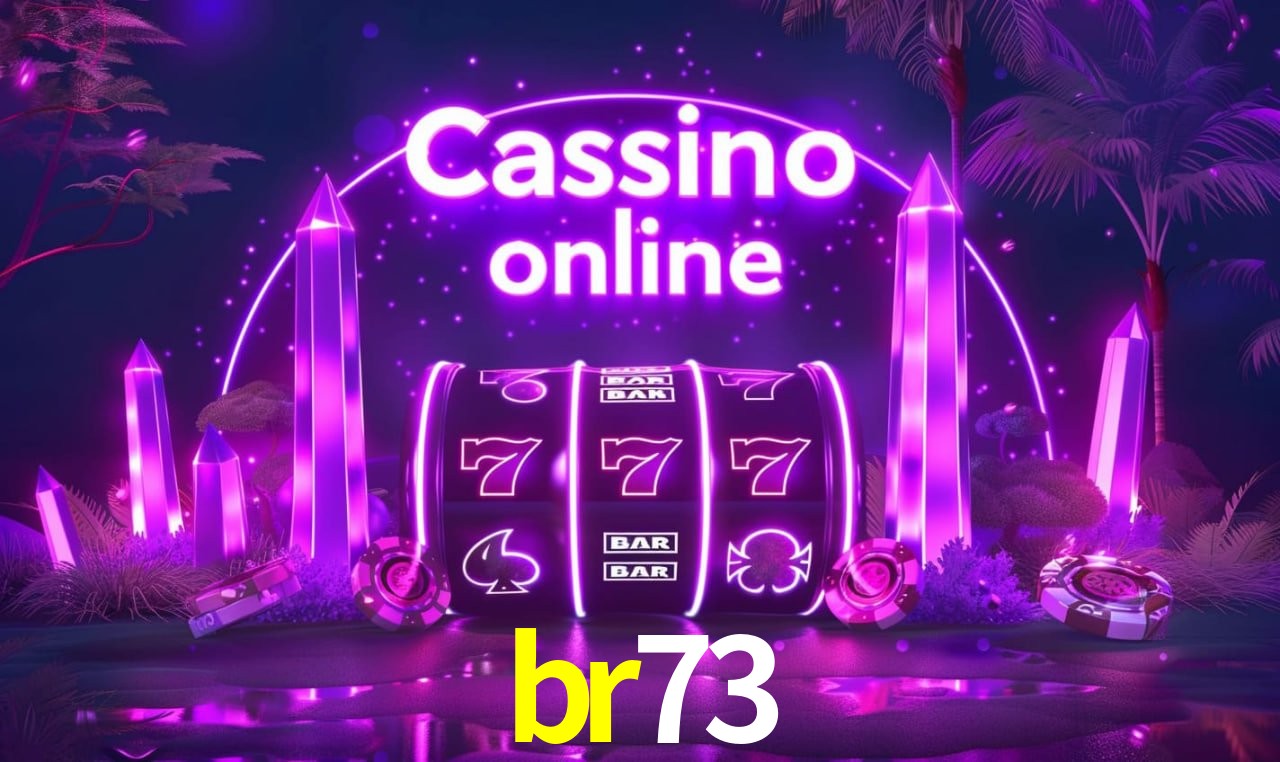 br73 - Customer Support